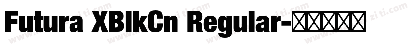 Futura XBlkCn Regular字体转换